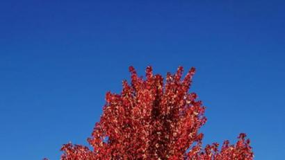 Bild: Jenny Fl.
Die schönsten Herbstbilder unserer Facebook-User für Oktober.