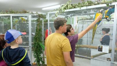 Bild: do
Mit einer bunten Parade exotischer Vögel will der Kleintierzuchtverein Eschenbach am Wochenende (5./6. Oktober) die Tierliebhaber verzaubern