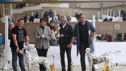 Bild: exb
Thomas Höppner (links) mit dem Rüden „Dante“, dem besten Dalmatiner der Ausstellung, und Michael Jetmar (rechts) mit „Alhena Moonlight Surprise“, der tagesbesten Hündin bzw. dem zweitbesten Dalmatiner des Tages, gemeinsam mit Richterin Isolde Huber und Sonderleiter Johann Heindl.