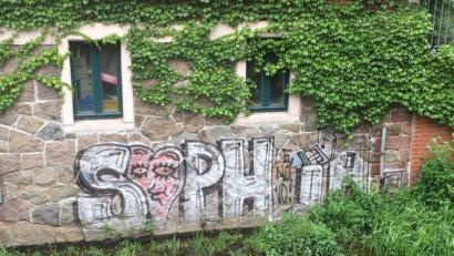 Bild: exb
Unvergessen: Ein Graffito an einer Hausmauer in Leipzig erinnert an die ermordete Sophia Lösche. Die 28-Jährige war auf dem Weg von ihrer Studenten-WG zu ihren Eltern nach Amberg, als sie ermordet wurde.