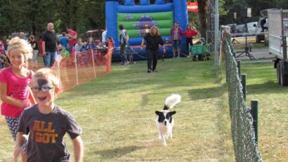 Bild: ads
Ein anspruchsvolles Programm mit zahlreichen Hundevorführungen lockt bei herrlichem Spätsommerwetter über 250 Besucher zum Tag des Hundes auf das Gelände des Gebrauchshundevereins Schnaittenbach.