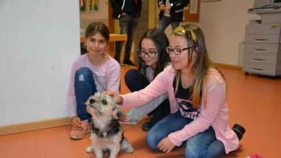 Bild: Lowak
Hündchen "Coco" genießt die Streichelheiten der Fünftklässlerinnen. Maja, Cristina und Magdalena sind sich einig: "Coco ist so süß!"