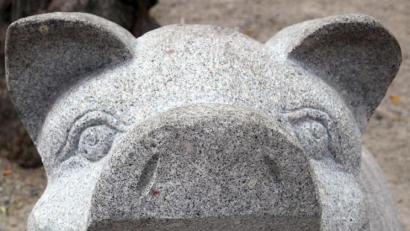 Bild: Wolfgang Steinbacher
Schwein Schorschi soll noch mehr Gesellschaft bekommen.