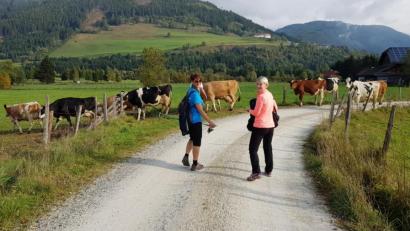Bild: exb/Fotostudio Kraus
Die Urlaubsregion des Salzburger Lungau bildete die landschaftliche Kulisse der 17. Wander-Weltmeisterschaft. Für die Teilnehmer aus Oberviechtach - hier Anneliese Kraus (links) und Alexandra Wild - warteten auch tierische Begegnungen auf den Strecken.