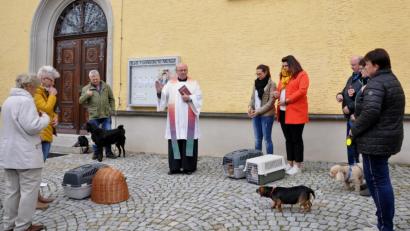 Bild: es
Pfarrer Wilhelm Bauer (Mitte) segnet die Tiere.