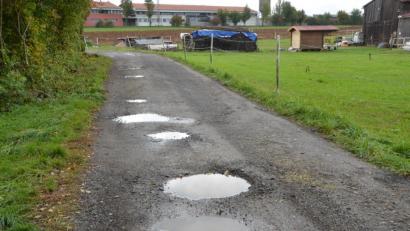 Bild: dob
Die tiefen Schlaglöcher in der Verbindung Amselweg zum Sportzentrum haben sich durch den Regen mit Wasser gefüllt. Anton Bäuml würde den Weg für Autos freigeben, da er sowieso verbotener Weise von vielen zum Sportzentrum genutzt wird. Eine weiträumige Umfahrung könne man heute nicht mehr vertreten.