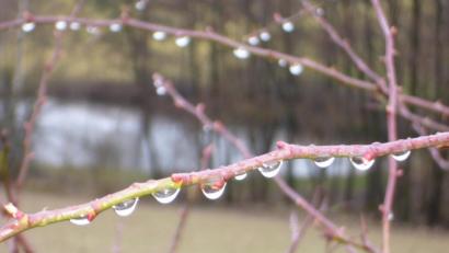 Bild: jml
Eine Wanderung über den Naturerlebnisweg im Klingenbachtal ist zu allen Jahreszeiten reizvoll.Allerdings muss die Trasse dringend auf Vordermann gebracht werden.