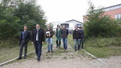 Bild: Hirsch
Die Robinien zwischen Seeufer und Wohnsiedlung werden gerodet, beschlossen Bürgermeister und Landschaftspfleger bei einer Ortsbesichtigung.