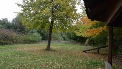 Bild: jr
Auf diesem aufgelassenen Spielplatz an der Wiesenstraße wünschen zwei Familien die Errichtung eines "Pump Track Bikeparks". Baubeginn sollte bereits im Frühjahr 2020 sein. Bürgermeister Max Bindl will nun mit allen Beteiligten sprechen und dann den Marktrat erneut informieren.