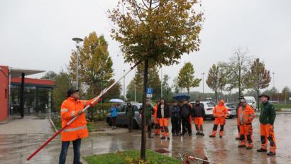 Bild: jzk
Harald Schlöger (links) zeigte den Bauhofmitarbeitern, was sie beim Gehölz- und Baumschnitt beachten müssen.