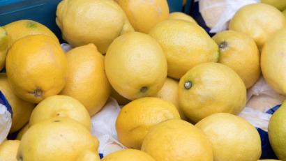 Bild: Jens Büttner
Eine kleine Menge frischer Zitronen liegen in einem Behältnis nebeneinander. Foto: Jens Büttner/zb/dpa/Archivbild