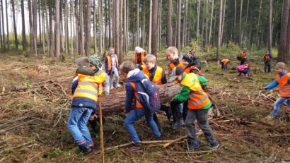 Bild: fjo
Die gemeinsame "Waldarbeit" bereitet den Schülern eine gehörige Freude und jede Hand packt eifrig mit an.