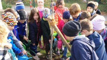 Bild: sm
Schüler der Klasse 2b pflanzen zusammen mit ihrer Lehrerin einen Klimabaum im Pausenhof der Grundschule.