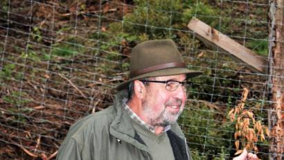 Bild: stg
Stadtförster Klaus Ferber berichtete den Forstausschussmitgliedern auch von Schäden durch Trockenheit. Er verdeutlichte dies mit einer verdörrten Neuanpflanzung.