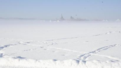 Bild: Petra Hartl
Schnee in Amberg.