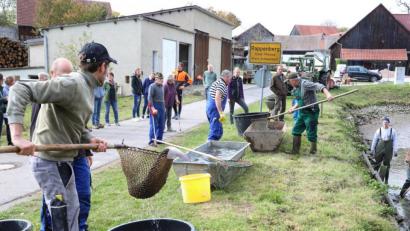 Bild: GERHARD GOETZ
Das ganze Dorf ist auf den Beinen, wenn in Rappenberg abgefischt wird. Schließlich sind die Karpfen Gemeinschaftseigentum der Bauernhöfe.