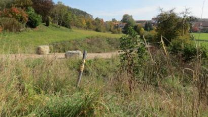 Bild: kö
Mit dem Billigungs- und Auslegebeschluss hat das Baugebiet "Am Kalvarienberg" eine weitere Hürde genommen. Für die Zauneidechsen-Population ist ein Ausweichquartier gefunden.