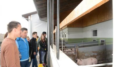 Bild: bey
Alfons Wittmann (Zweiter von links) erläutert beim Tag der offenen Tür den Besuchern die Vorzüge der Haltung seiner Schweine im neuen Stall mit Freilauf.