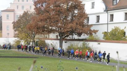 Bild: Petra Hartl
Um Amberg und hinaus in die Oberpfälzer Landschaft: Das bietet auch die 16. Auflage des Amberger Ultralaufs am Samstag, 9. November.