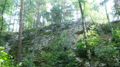 Bild: sh
Vor 120 Jahren ist der Fruth-Steinbruch in Betrieb genommen worden. Vor 65 Jahren wurde der Granitabbau eingestellt und die Fläche wieder der Natur überlassen.