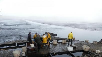 Bild: rn
Auf ruhige Wasseroberfläche, leere Fischwannen und hungrige Reiher blickten die Zuschauer beim Abfischen des Obersees.
