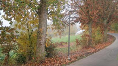Bild: bsc
Die Sieglestraße hin zum Friedhof wurde kürzlich mit sechs neuen Straßenlampen ausgestattet. Angepasst werden muss jedoch noch der Leuchtwinkel der Lampenköpfe. „Derzeit beleuchten sie vor allem den Fahrbahnrand und den Straßengraben“, wusste Otmar Zeitler (Freie Wähler) in der jüngsten Sitzung des Gemeinderats. Nach der Angleichung können Besucher auch in den Abendstunden sicherer zum Friedhof und zur Unterneumühle gelangen.