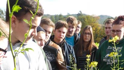 Bild: Hirsch
Die Schüler der Berufsschule Neunburg lernten verschiedene Sorten von Senf als Alternative für den Zwischenfruchtanbau kennen.