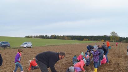 Bild: fvo
Die Kinder sind Begeisterung bei der Kartoffelsuche.