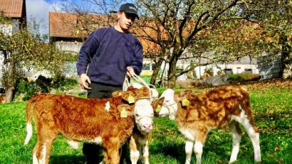 Bild: Rudi Wilhelm
Kilian Hirn (14)) hat die größte Freude mit den Kälber-Drillingen Karl, Klara und Konstanze.