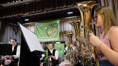 Bild: Picasa
Ob bei Soloeinlagen oder im Zusammenklang des gesamten Orchesters: Beste musikalische Unterhaltung war geboten.