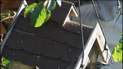 Bild: gpa
Star Ende Oktober.