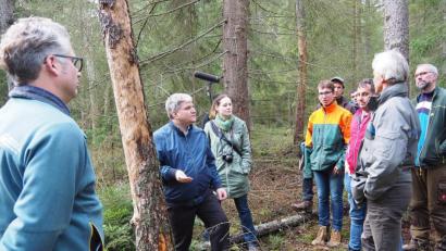 Bild: Bühner
Bundestagsabgeordneter Stefan Schmidt von Bündnis 90 /Die Grünen (Zweiter von links) hört sich bei einem Rundgang im Naturwaldreservat "Gscheibte Loh" die Probleme und Nöte der Forstleute an.