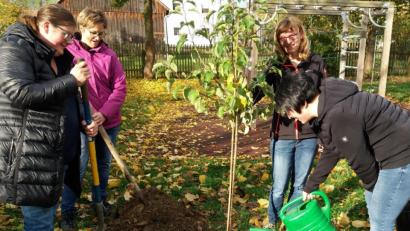 Bild: Grundschule Mähring/exb
Bei der „Woche der Gesundheit und Nachhaltigkeit“ an der Grundschule Mähring wurde von den Mitgliedern des Elternbeirates ein Apfelbaum im Pausenhof gepflanzt.