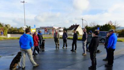 Bild: exb/Melanie Glaeser
Der Herbstprüfung bei der Bezirksgruppe Nabburg des Rottweiler-Klubs stellten sich neun Teilnehmer.