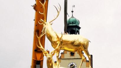 Bild: Hans Meindl
Da schweben sie ein, die beiden vergoldeten Hirsche für den neuen Stadtbrunnen.