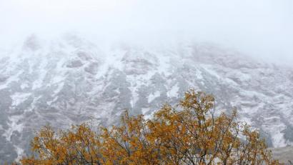 Archivbild: Karl-Josef Hildenbrand/dpa
Ein herbstlich gefärbter Baum steht vor schneebedeckten Bergen.