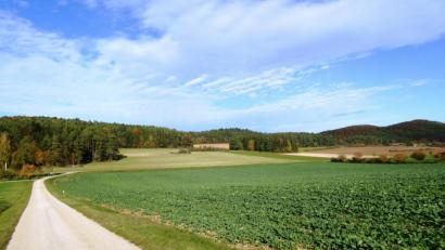 Bild: jp
Rechts von der Straße bis zum Waldrand soll, geht es nach dem Willen des Marktes Kastl, ein Solarpark bei Oberfeld in Ständerbauweise mit fünf Hektar Größe entstehen.