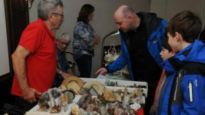 Bild: gf
Die Besucher der Mineralienbörse informierten sich über die präsentierten Schätze.