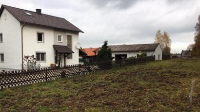 Bild: exb/Harald Bemmerl
Die Wildschweine verursachten in der Gemeinde – wie hier in der Fischbacher Straße – hohe Schäden.