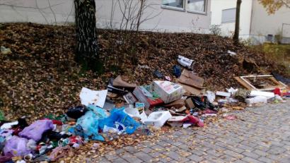 Bild: exb
So sieht es nach dem Sperrmüll im Sägmühlweg in der Nähe der Zollhäuser aus, und das zweimal im Jahr.