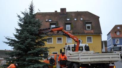 Bild: gi
Der Weihnachtsbaum am Marktplatz wird in der ganzen Advent- und der Weihnachtszeit neben der Brunnenkrippe leuchten.