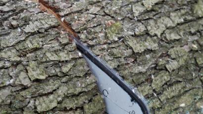 Bild: Patrick Pleul
Symbolbild