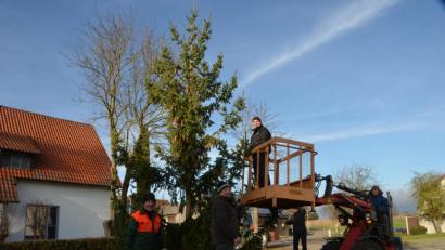 Bild: dob
Heuer hat der Christbaum der Obertresenfelder viel Eigenschmuck in Form von Zapfen an den Ästen. Trotzdem kamen auch noch 70 Lichter an das Grün. Die Helfer haben sich am Samstag wieder in Stellung gebracht und den Baum aus Nachbars Garten zum Dorfplatz gehievt.