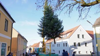 Bild: fvo
Die Edeltanne schwebt von der Trad in Waldthurn zum Marktplatz.