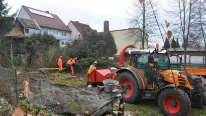 Bild: ws
Auf dem Gelände für den neuen "Altstadt-Kindergarten" tut sich etwas. So wurden am Freitag von Stadtmitarbeitern die Büsche und Bäume entfernt. Bereits im September kommenden Jahres soll der neue Kindergarten fertig werden. Zunächst muss der Bebauungsplan die entscheidende Hürde nehmen.