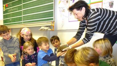 Bild: rpp
Anfassen erlaubt! Erika Passon übergibt einen Igel in die Hände der Schulkinder.
