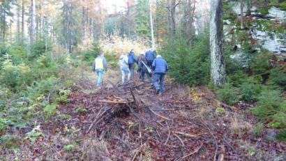 Bild: exb
Förster Wolfgang Schödel zeigte den Mitgliedern der Bürgerliste vor Ort, wie der Wald auf die geänderten klimatischen Bedingungen vorbereitet werden kann.