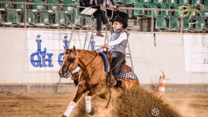 Bild: Hautmann
Simona Neumüller hat sich in Kreuth bei Amberg für die Teilnahme in Oklahoma City qualifiziert. Ihr Pferd Mamma Mia Katy (im Bild) kann sie leider nicht mitnehmen.