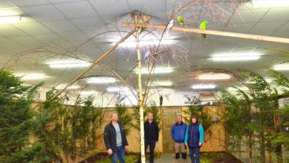 Bild: fjo
Nur das Kernstück einer richtig großen Vogelschau ist die begehbare Freiflug-Voliere, welche Vorsitzender Josef Greber (links) mit seiner agilen Helferschar baute und bestückte.