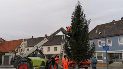 Bild: gz
Für den Weihnachtsbaum und im Mai für den Maibaum wurde am Tillyplatz eigens eine Halterung installiert.